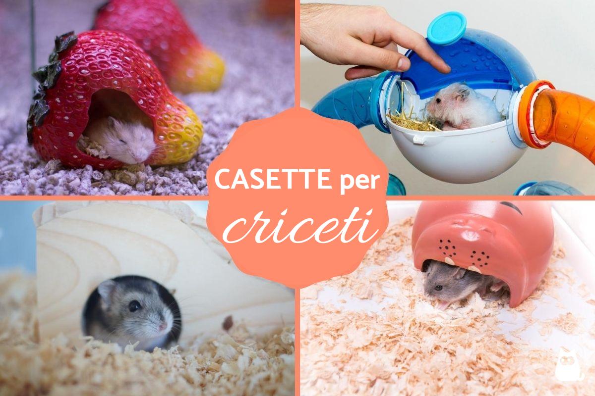 Casette per criceti