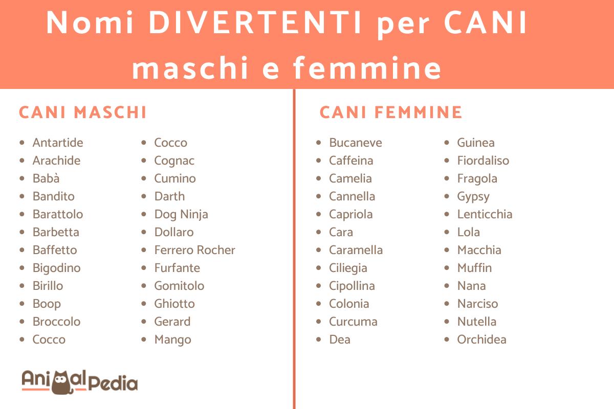 Nomi divertenti per cani