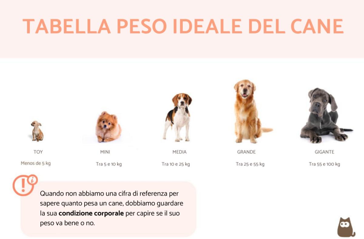 Tabella del peso ideale del cane