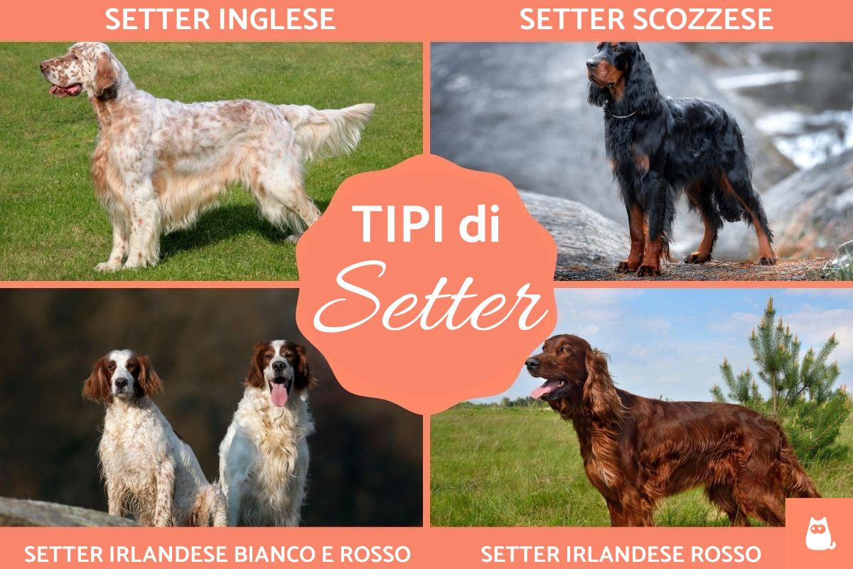 Tipi di Setter