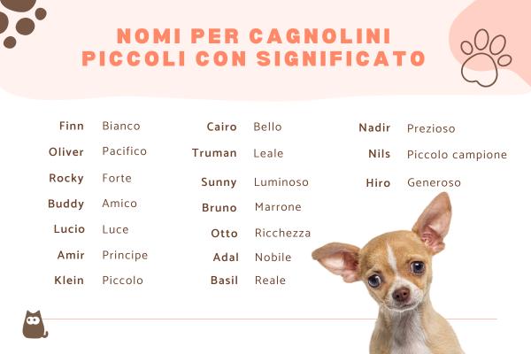 Nomi per cagnolini piccoli con significato