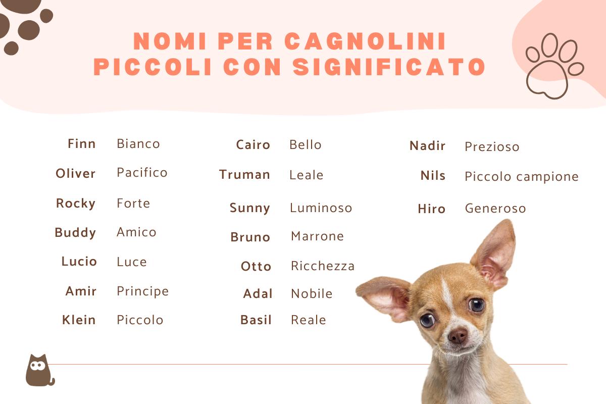 Set per dipingere Cagnolini con Girasoli CREART 23569