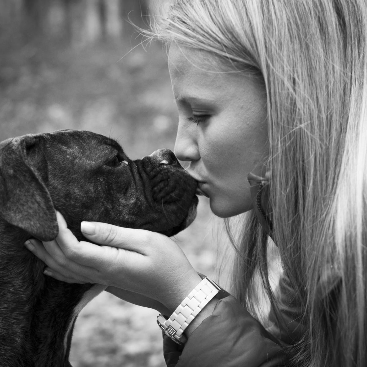 Come superare la morte di un cane