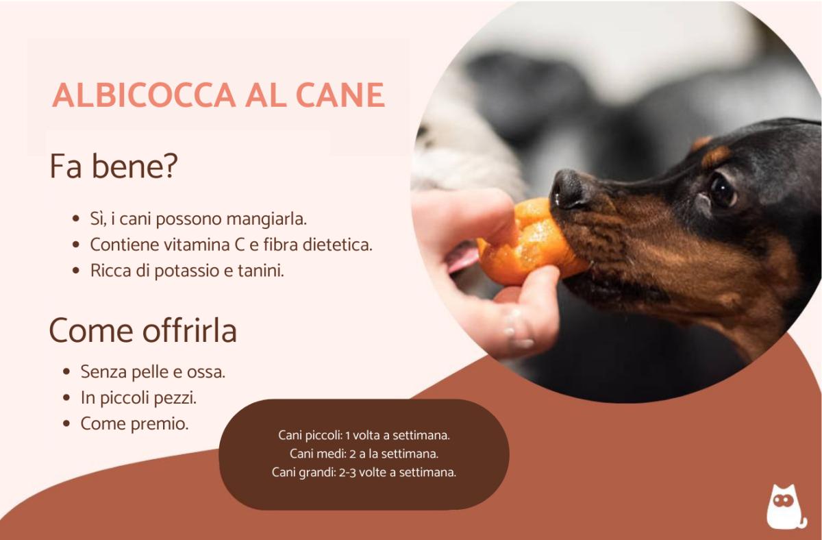 Posso dare l'albicocca al cane?