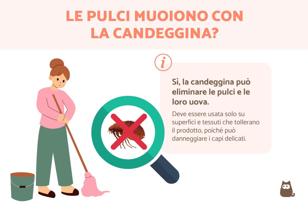 Le pulci muoiono con la candeggina?