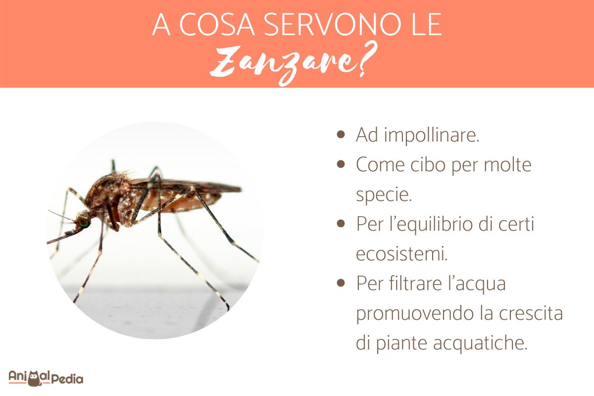 A cosa servono le zanzare?