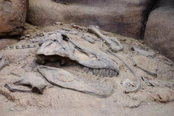 Come si sono estinti i dinosauri?
