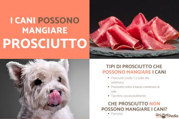 Si può dare il prosciutto cotto al cane?