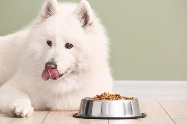 Amanova: alimentazione premium per cani basata su ingredienti naturali e qualità superiore