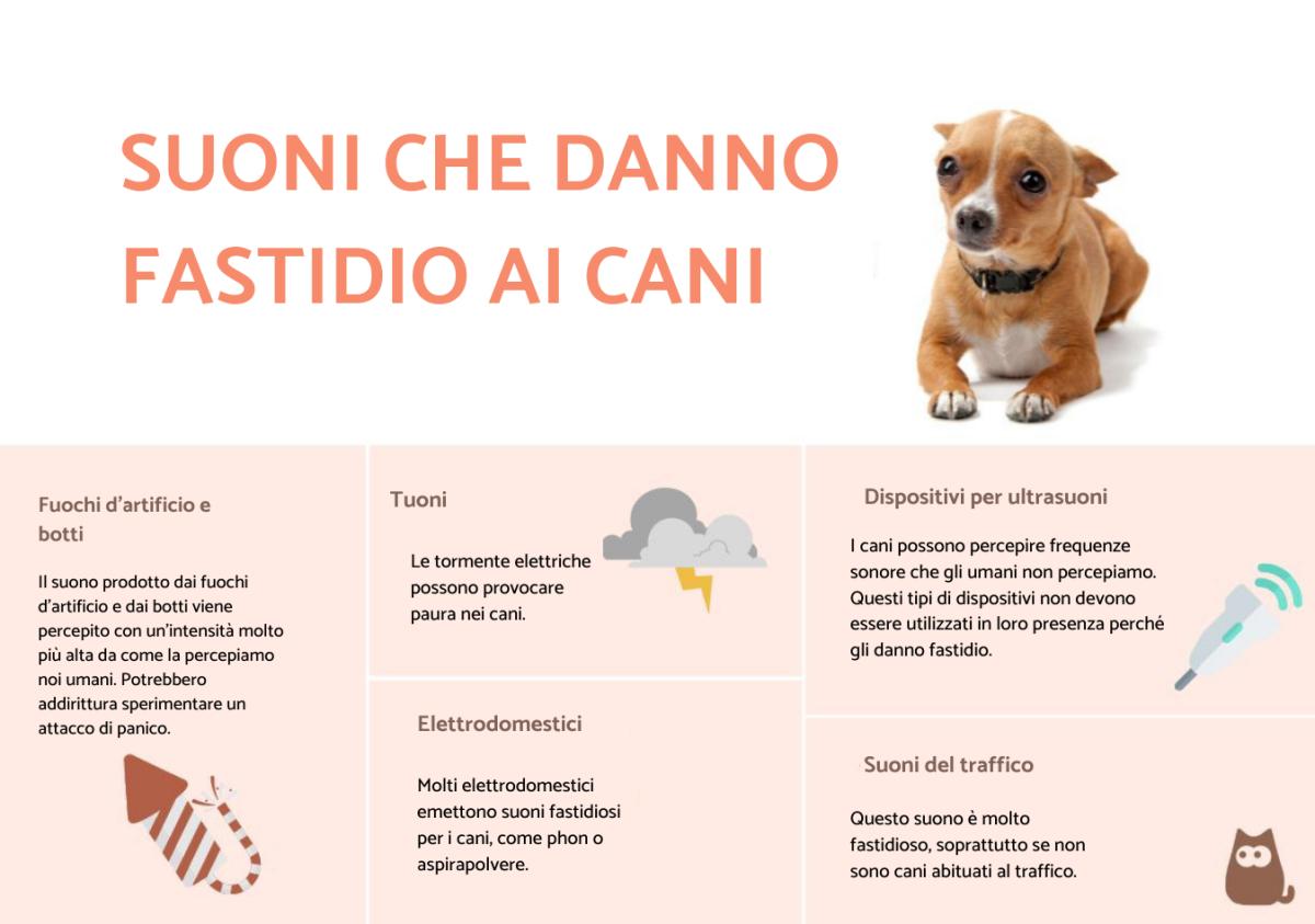 Quali sono i suoni fastidiosi per cani?