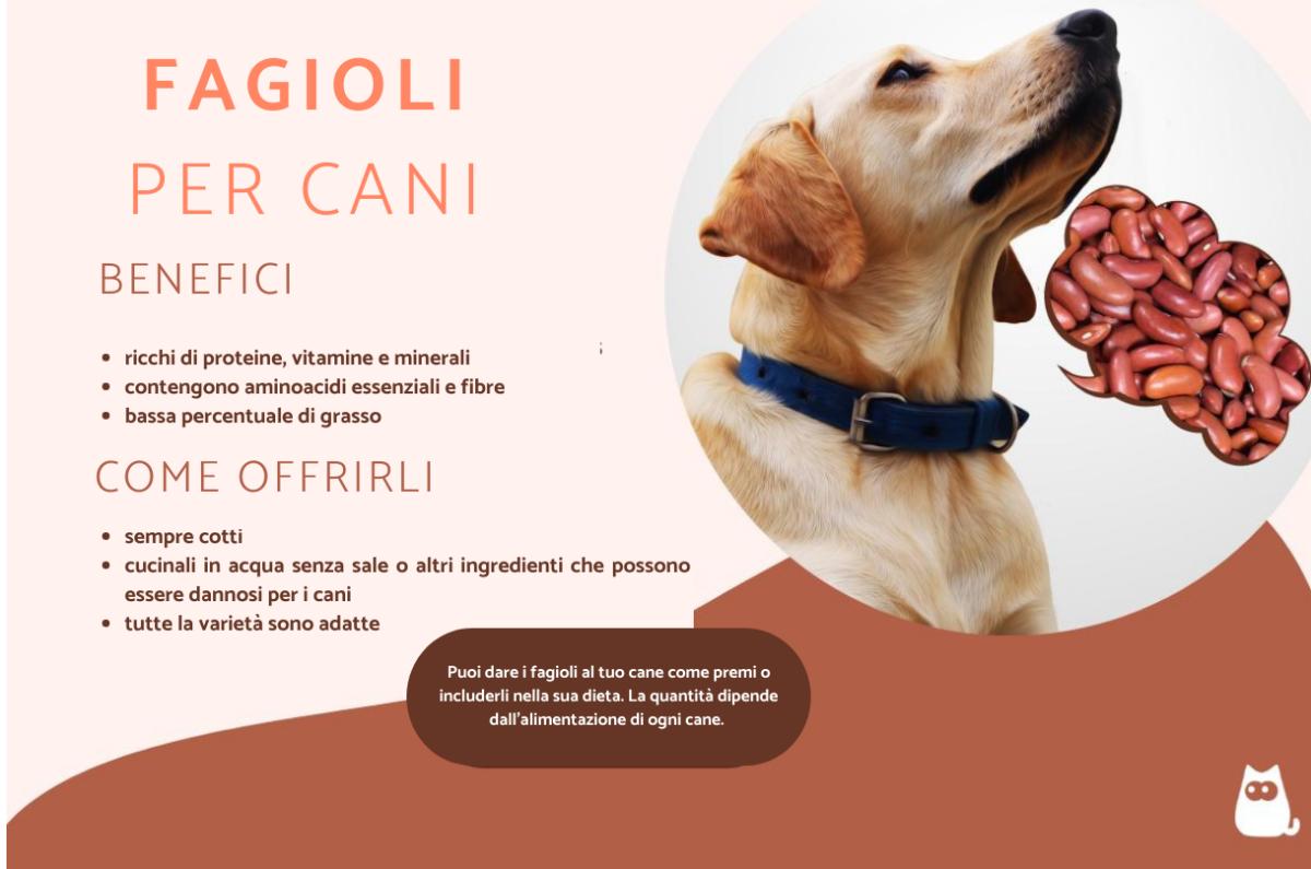 I cani possono mangiare i fagioli?