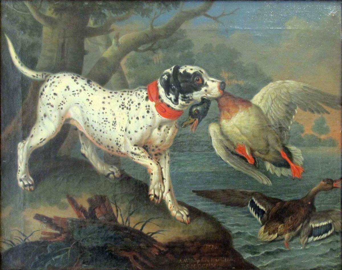 Nomi per cani da caccia con significato