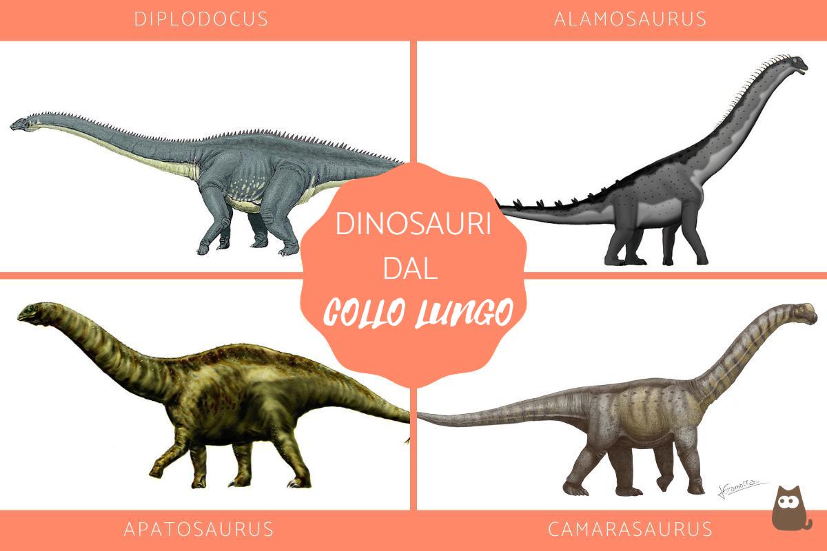 Dinosauri dal collo lungo - Caratteristiche ed esempi