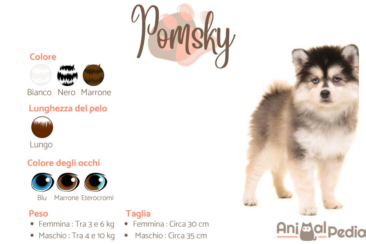 Pomsky